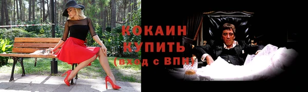 стафф Алзамай