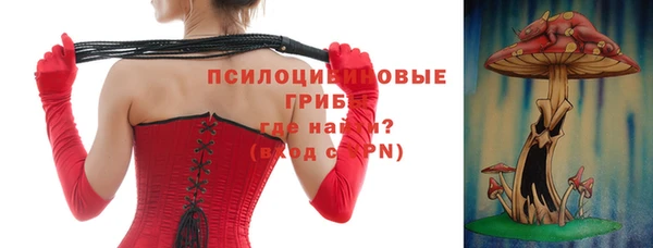 стафф Алзамай