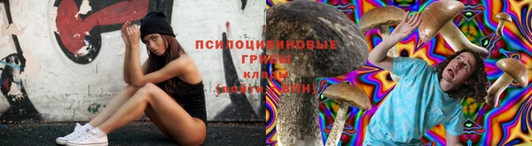 стафф Алзамай