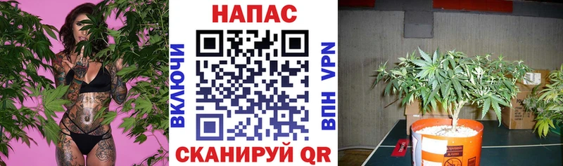 купить наркотики цена Солнечногорск Бошки Шишки VHQ